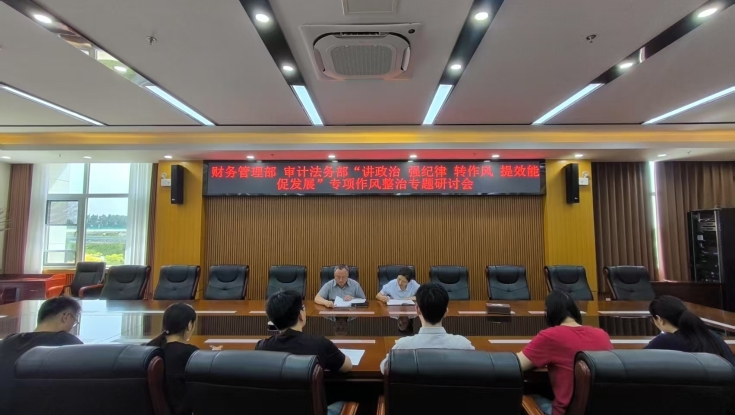 审计法务部联合财务管理部共同推进“讲政治 强纪律 转作风 提效能 促发展”专项作风整治工作，开展整改验收阶段研讨会